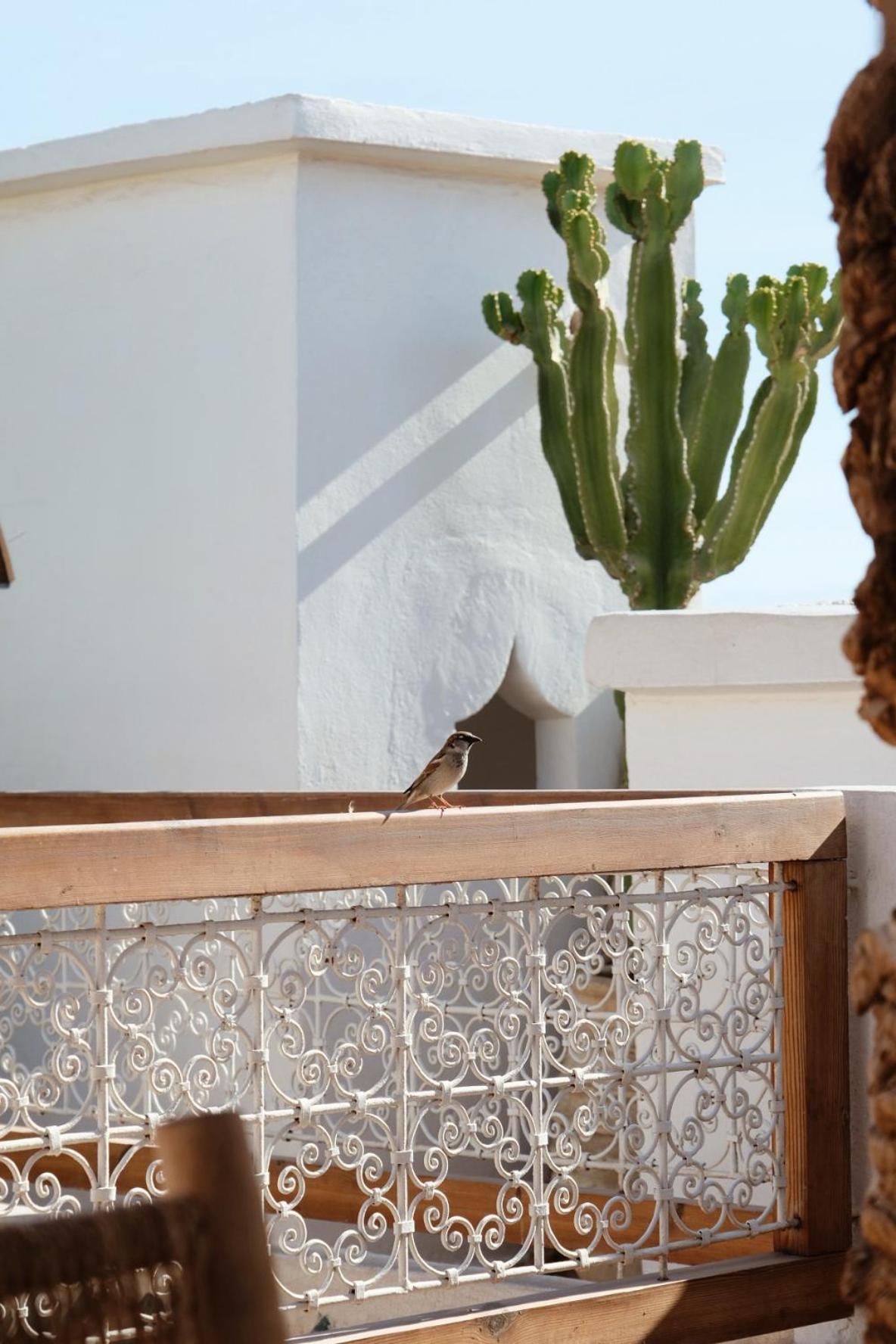 Riad L'Atelier Marrakesh Buitenkant foto